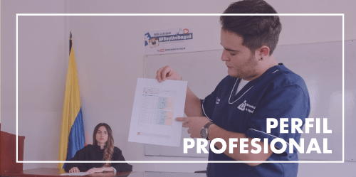 Información sobre perfil profesional